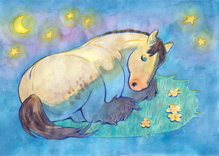 Traditional Example Full Color Sleeping Horse